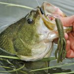 Florida Freshwater Fishing