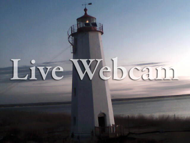 Live Cameras & Live Audio Streams