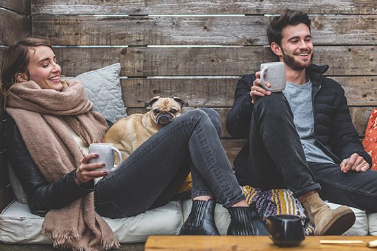 How to Find the Right Dog for Your Family