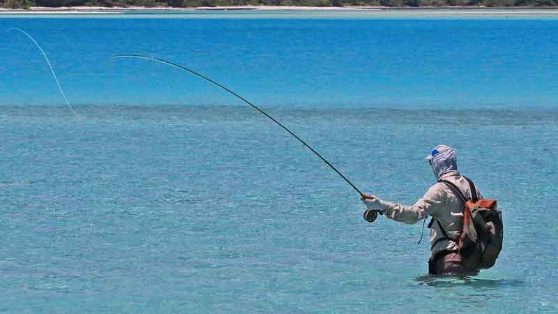 Treasure Coast fishing