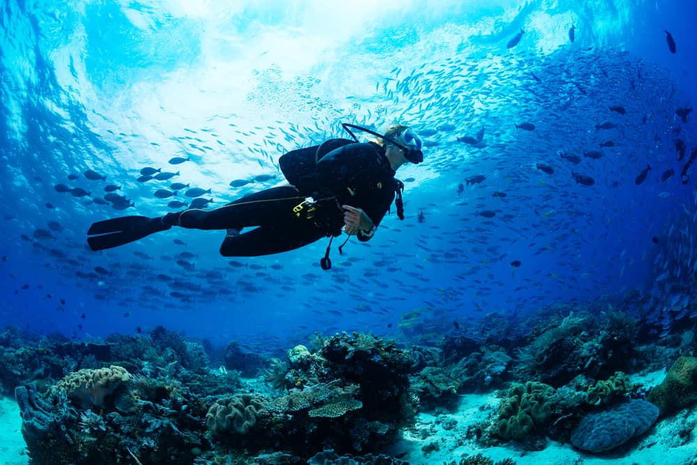 Diving in Florida
