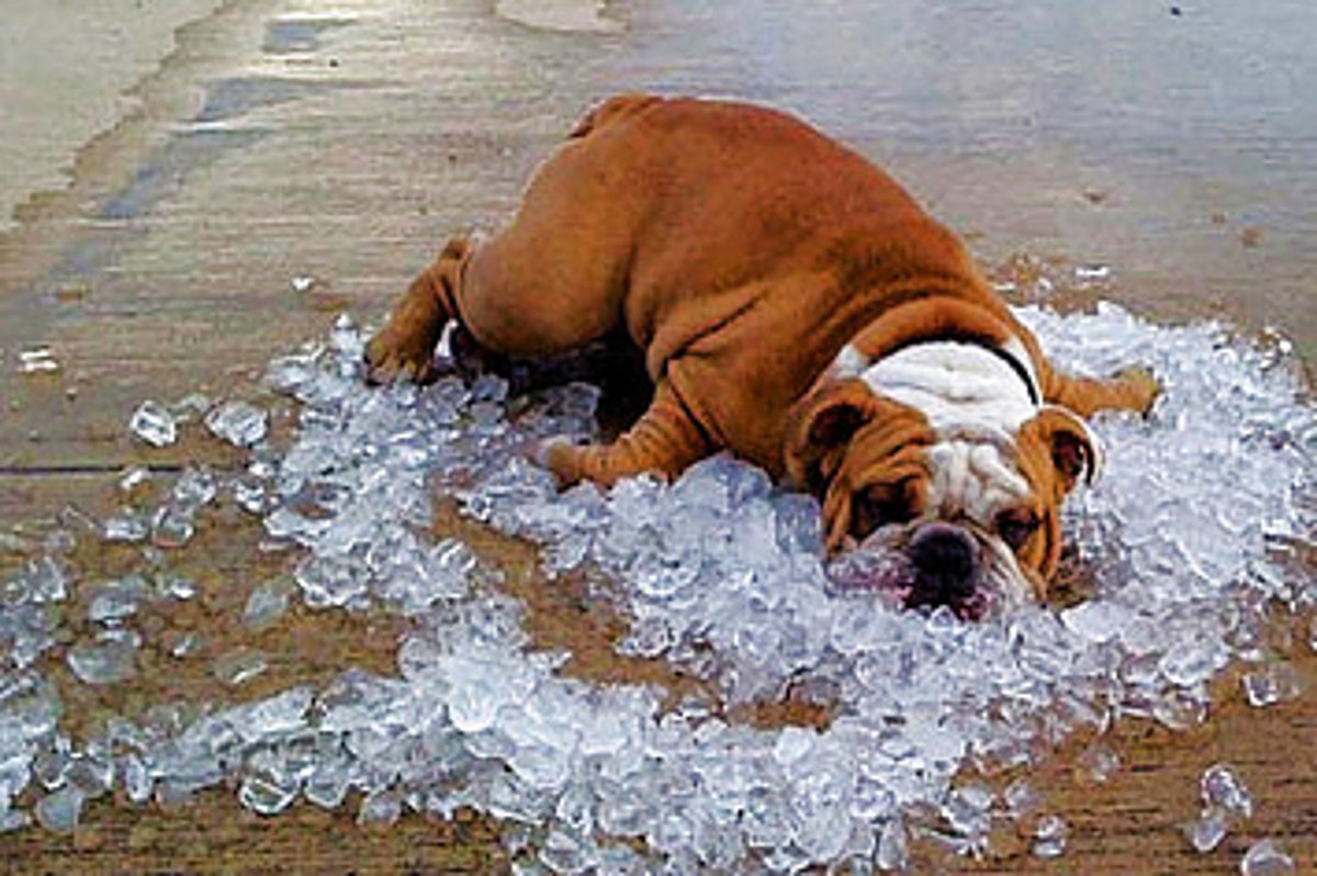 How to Stay Cool This Summer