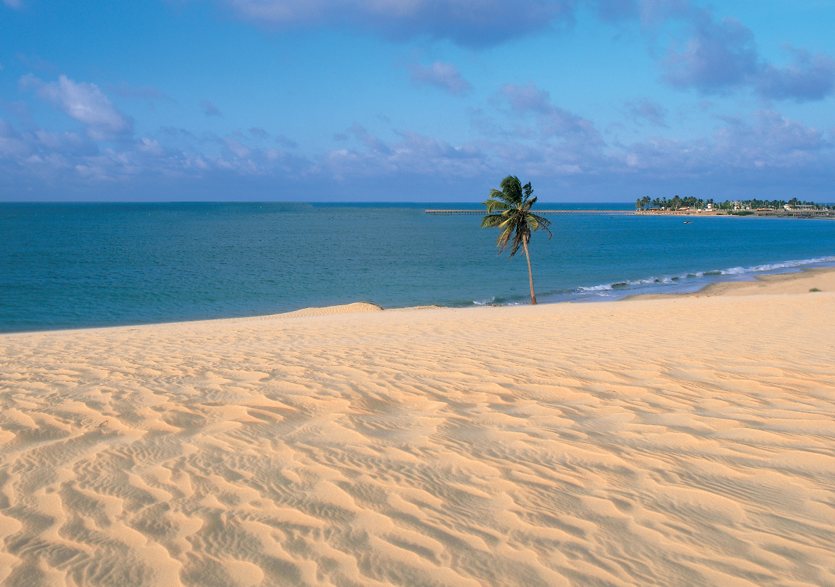 Is it illegal to take sand from Florida beaches?